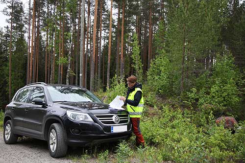 Teija Hyytiäinen-Koskimäki katsoo papereitaan auton konepellin päällä metsän reunassa. 