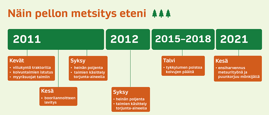 Aikajanalla on kuvattu, kuinka pellon metsitys eteni:  2011 keväällä viilukyntö traktorilla, koivuntaimien istutus ja myyräsuojat taimiin. Kesällä boorilannoitteen levitys ja syksyllä heinän poljentaa sekä taimien käsittely torjunta-aineella. 2012 syksyllä heinän poljentaa, taimien käsittelyä torjunta-aineella. Vuosina 2015-2018 tykkylumen poistoa koivujen päältä. 2021 kesällä ensiharvennus metsurityönä ja puunkorjuu mönkijällä.