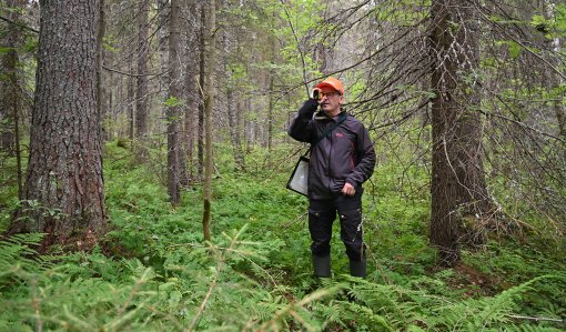 Erityisen tärkeät elinympäristöt pitää tunnistaa luonnossa