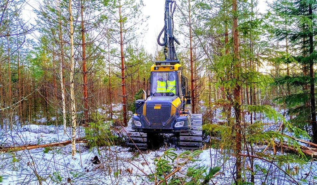 Metsäkone nuoressa metsässä talvella