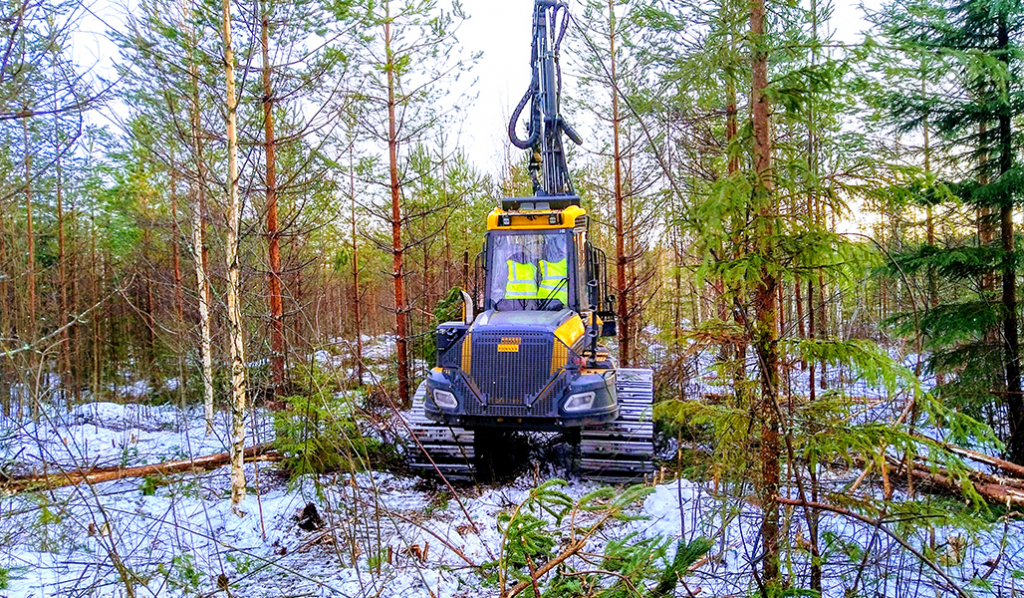 Metsäkone nuoressa metsässä talvella