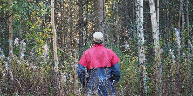 Mies katselee kohti metsää, joka olisi harvennuksen tarpeessa.