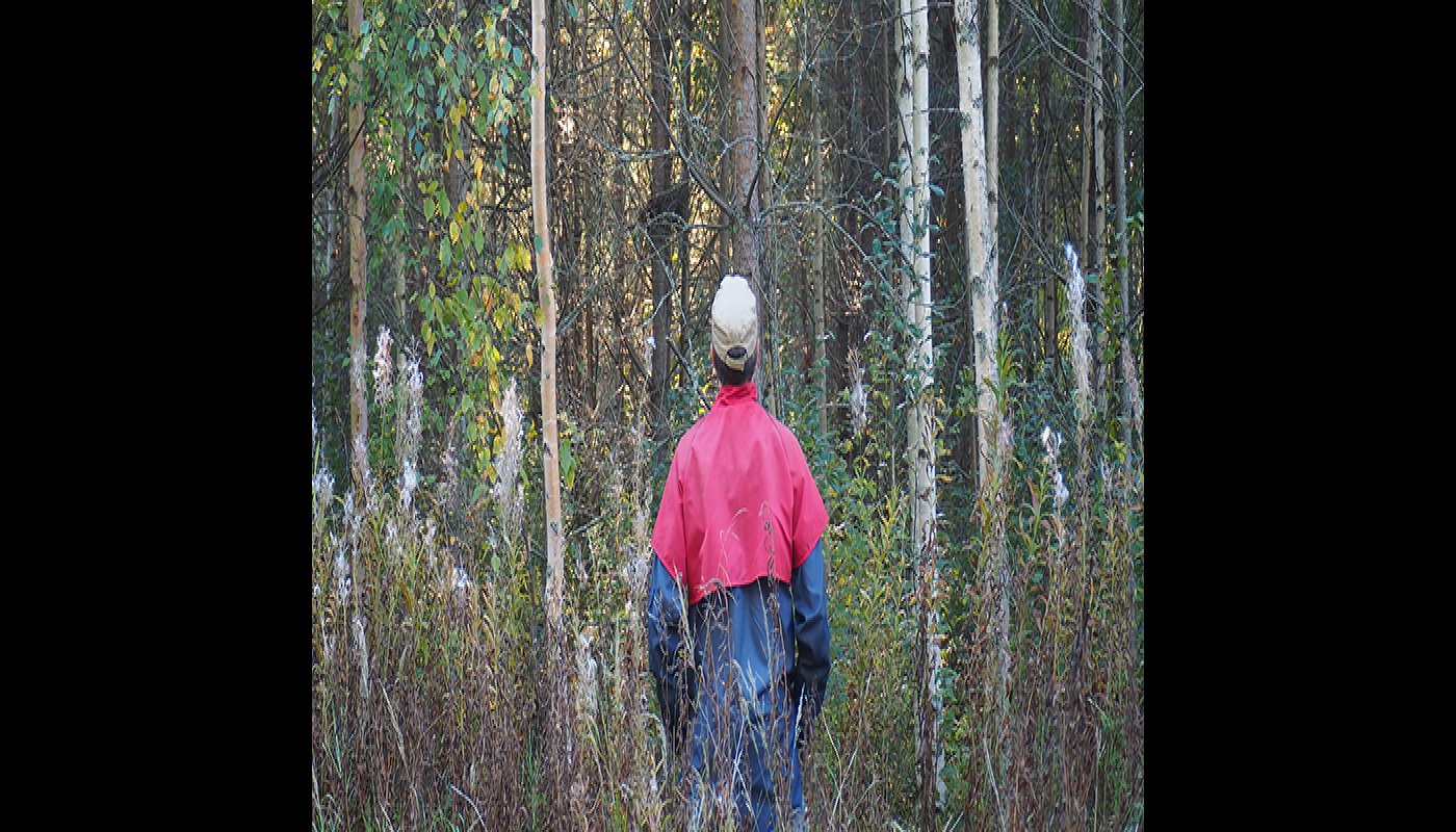 Mies katselee kohti metsää, joka olisi harvennuksen tarpeessa.