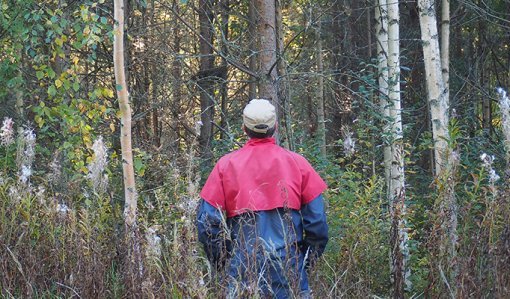 Mies katselee kohti metsää, joka olisi harvennuksen tarpeessa.