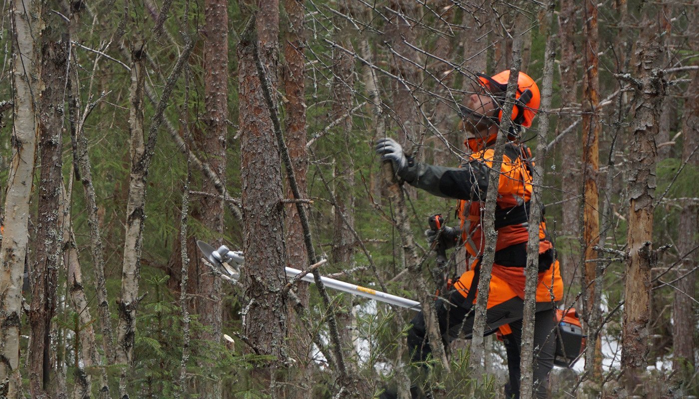 Metsuri tekee ennakkoraivausta tiheässä metsässä. 
