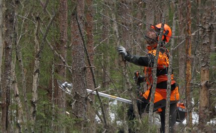 Metsuri tekee ennakkoraivausta tiheässä metsässä. 
