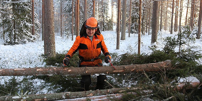 Alpo Särkelä nostaa puunrungon kasaan. 