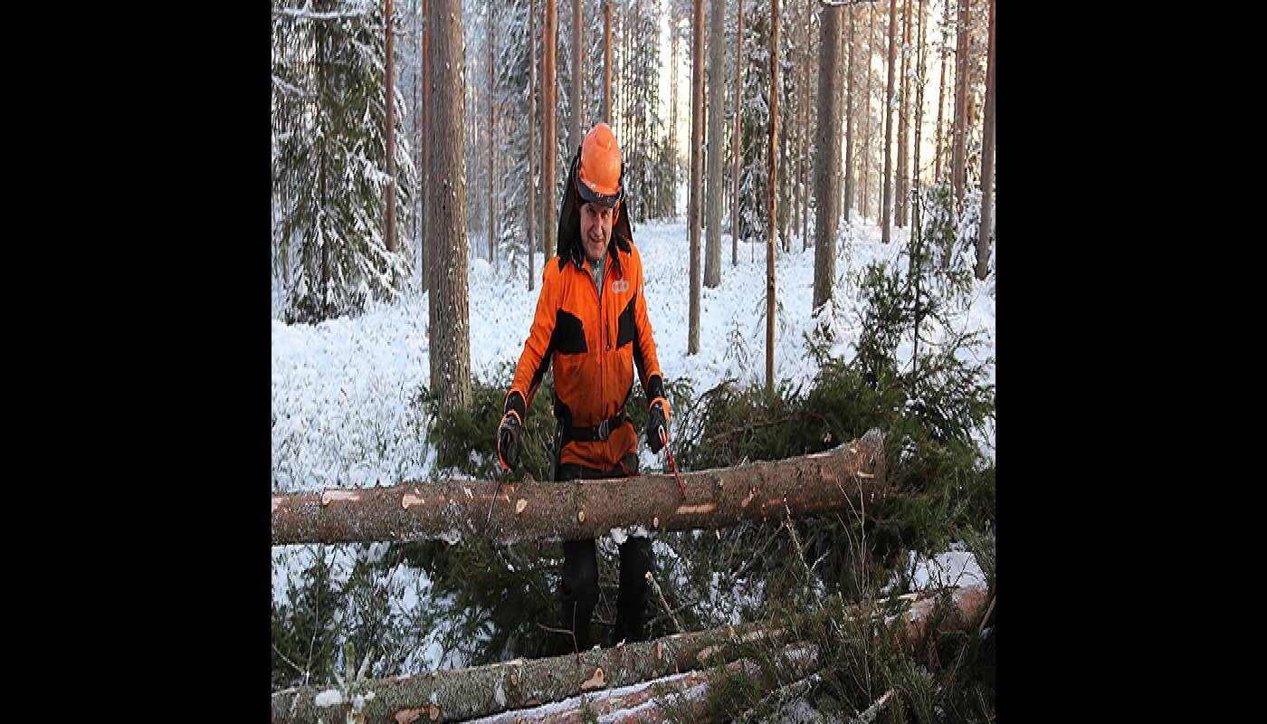 Alpo Särkelä nostaa puunrungon kasaan. 
