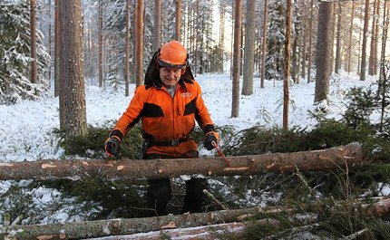 Alpo Särkelä nostaa puunrungon kasaan. 