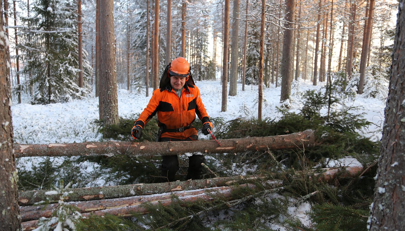Alpo Särkelä nostaa puunrungon kasaan.
