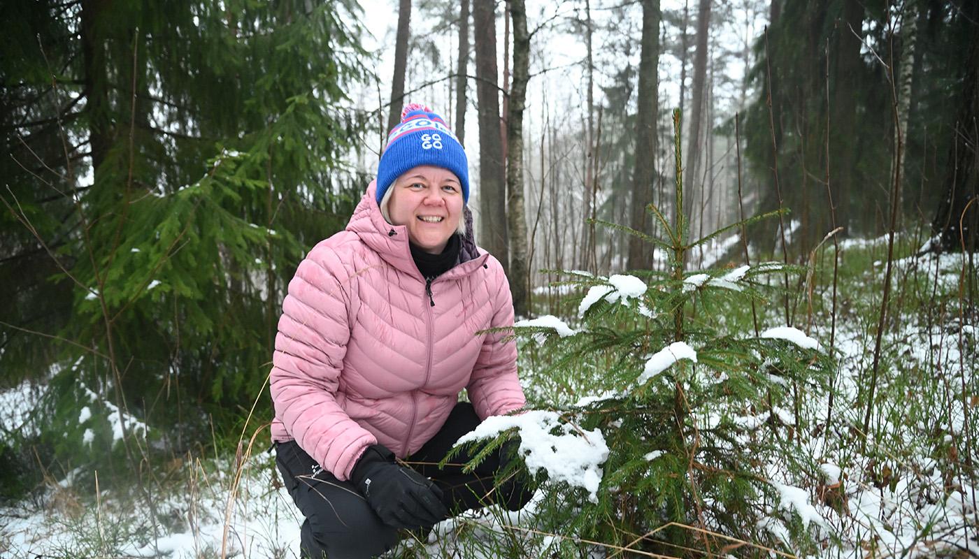 Heli Lehtomäki on kyykyssä pienen kuusen vieressä.