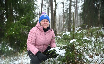 Heli Lehtomäki on kyykyssä pienen kuusen vieressä.