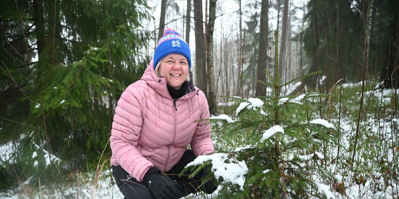 Heli Lehtomäki on kyykyssä pienen kuusen vieressä.