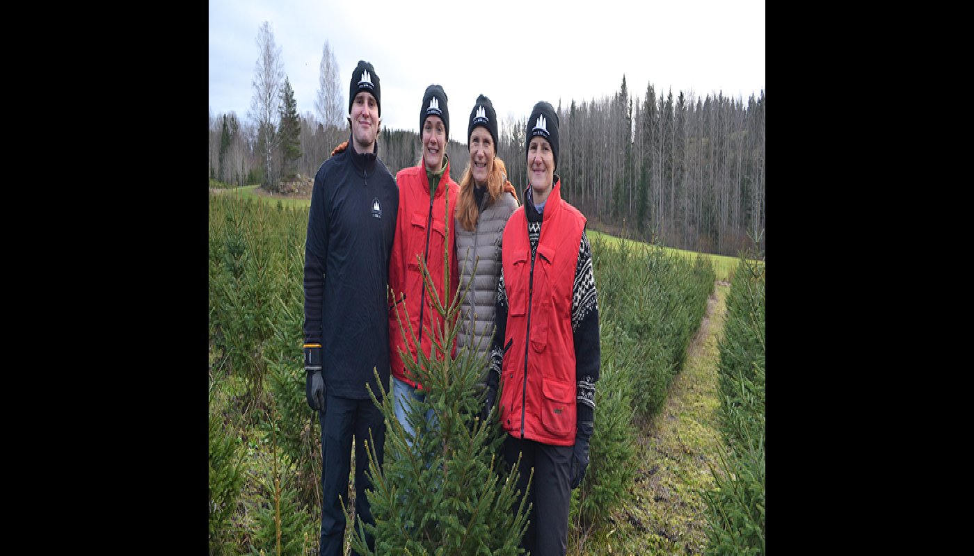 Henrik Nyman, Anja Mattson, Annika Mattson ja Madeleine Nyman joulukuusiviljelmällä.
