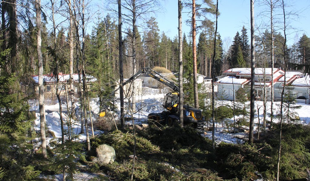 Monitoimikone kaataa puita taajamametsässä talvella. Metsän takana on omakotitaloja. 