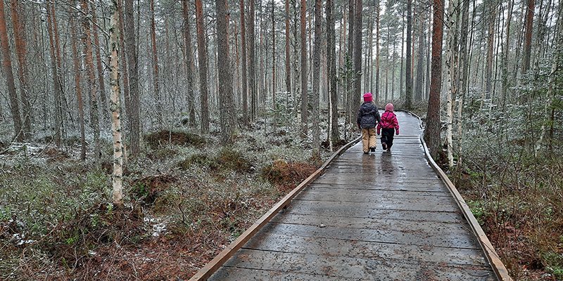 Kaksi lasta kävelee puurakenteisella luontopolulla. Ympärillä on metsää ja varvikkoa. 