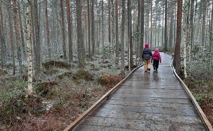 Kaksi lasta kävelee puurakenteisella luontopolulla. Ympärillä on metsää ja varvikkoa. 