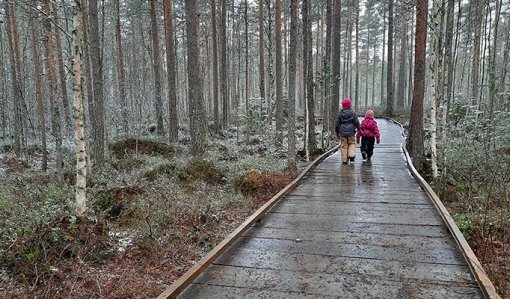 Kaksi lasta kävelee puurakenteisella luontopolulla. Ympärillä on metsää ja varvikkoa. 