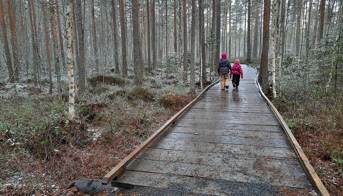 Kaksi lasta kävelee puurakenteisella luontopolulla. Ympärillä on metsää ja varvikkoa. 

