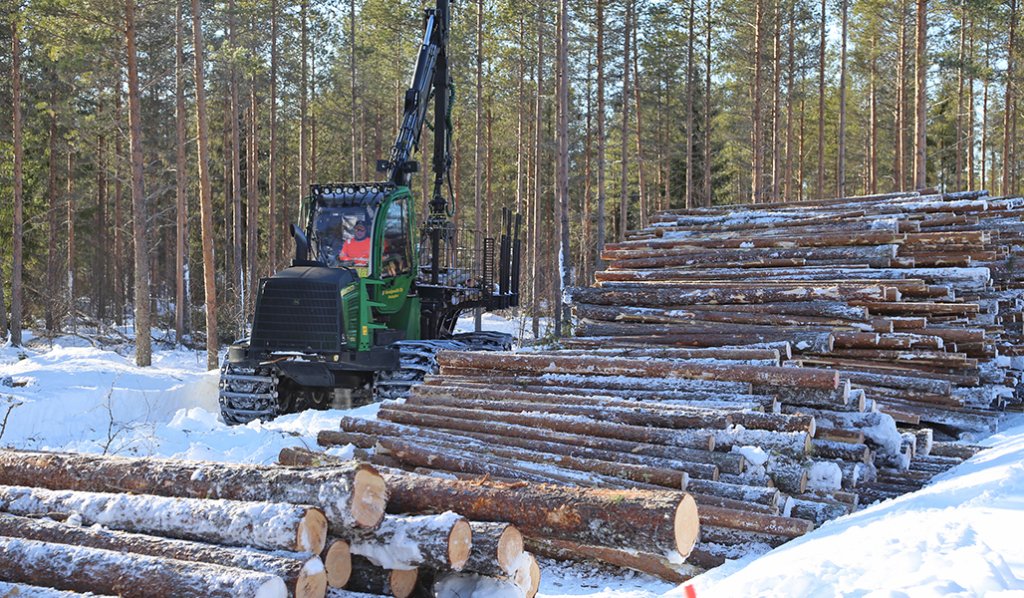 Hakkuukone puupinon vieressä talvella. 