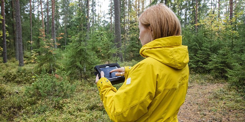 Keltatakkinen nainen katsoo metsässä tabletilta tietoja. 