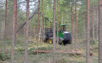 Hakkuukone harventaa nuorta metsää. 
