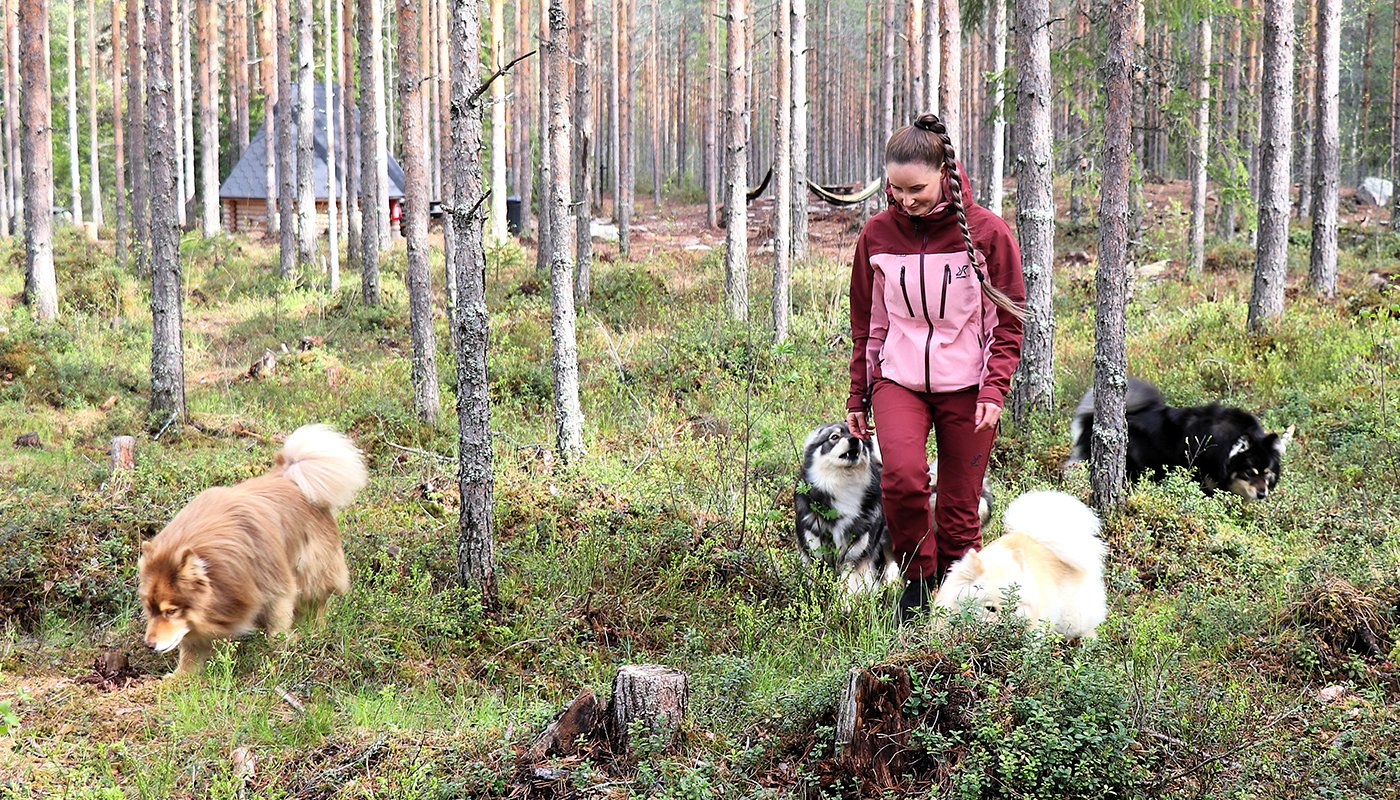Koirametsässä on tilaa juosta, kuopia ja noutaa keppiä