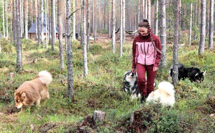 Koirametsässä on tilaa juosta, kuopia ja noutaa keppiä