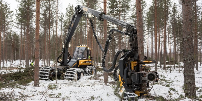 Hakkuukone tekee talvisessa metsässä harvennushakkuuta. 