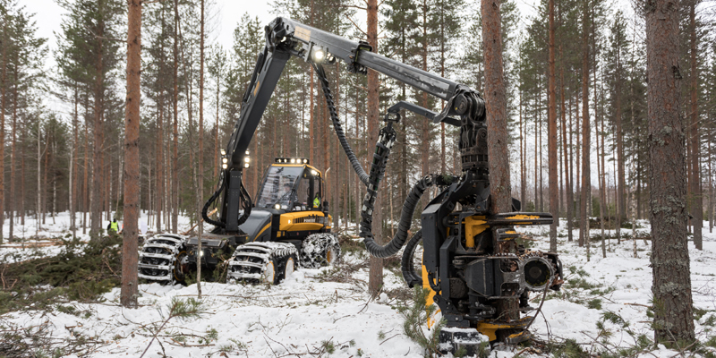 Hakkuukone tekee talvisessa metsässä harvennushakkuuta.