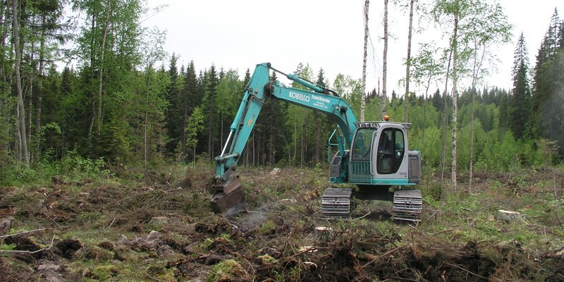 Maanmuokkaus vauhdittaa kasvua