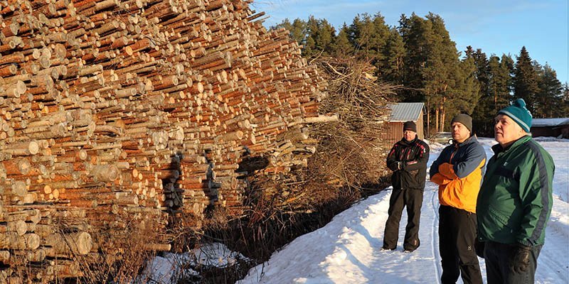 MIkko, Antti ja Ville Palomäki seisovat energiapuukasan vieressä. Maassa on lunta ja aurinko paistaa.
