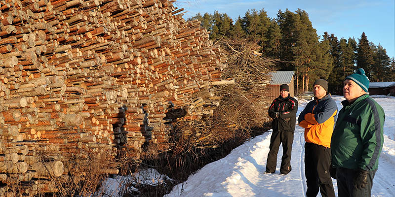 MIkko, Antti ja Ville Palomäki seisovat energiapuukasan vieressä. Maassa on lunta ja aurinko paistaa.