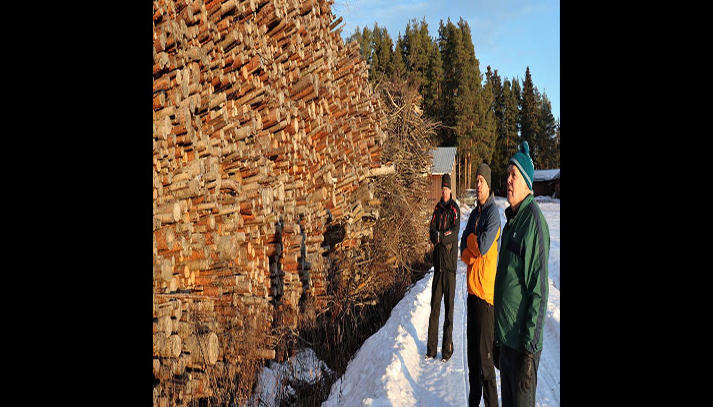 MIkko, Antti ja Ville Palomäki seisovat energiapuukasan vieressä. Maassa on lunta ja aurinko paistaa. 