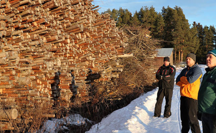 MIkko, Antti ja Ville Palomäki seisovat energiapuukasan vieressä. Maassa on lunta ja aurinko paistaa. 