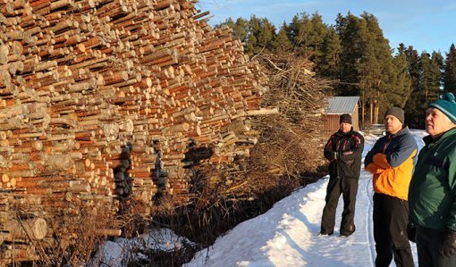 MIkko, Antti ja Ville Palomäki seisovat energiapuukasan vieressä. Maassa on lunta ja aurinko paistaa.