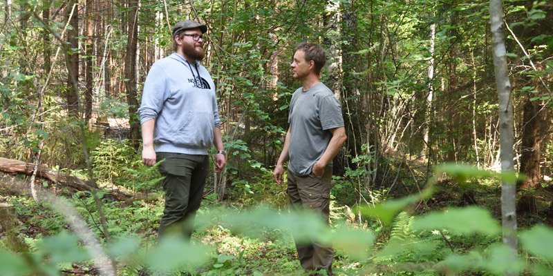 Metsänomistaja Tero Ahava ja luonnonhoidon asiantuntija Jukka Ruutiainen keskustelevat pähkinäpensaslehdossa. Heidän ympärillään on vihreää ja rehevää kasvillisuutta.