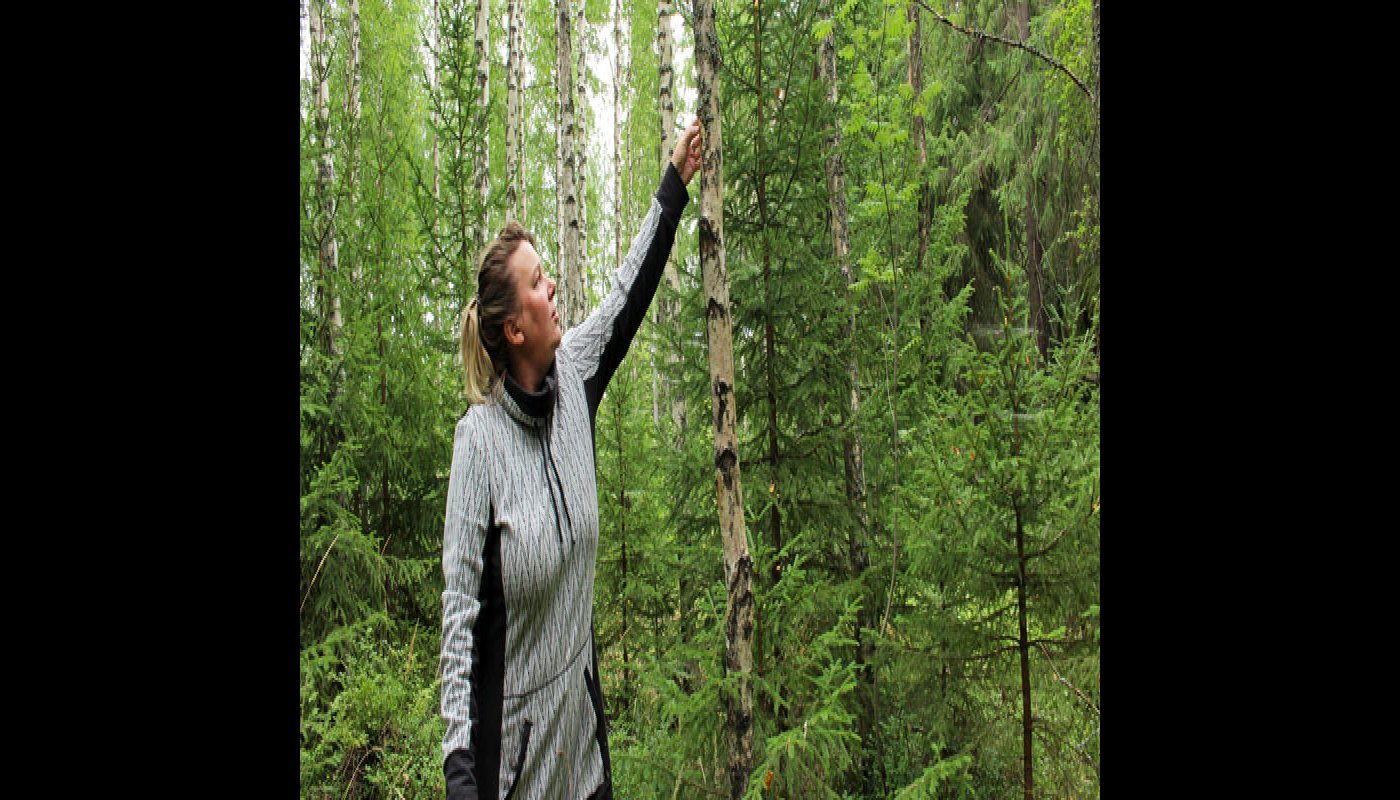 Matkailuyrittäjä Matleena Pulkkinen tunnustelee metsässä kädellään, onko koivun runkoon kasvanut pakurin alkuja. 