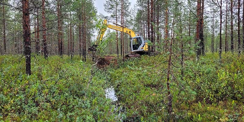 Kaivinkone tukkii ojaa suometsässä kesällä.