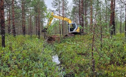 Kaivinkone tukkii ojaa suometsässä kesällä.