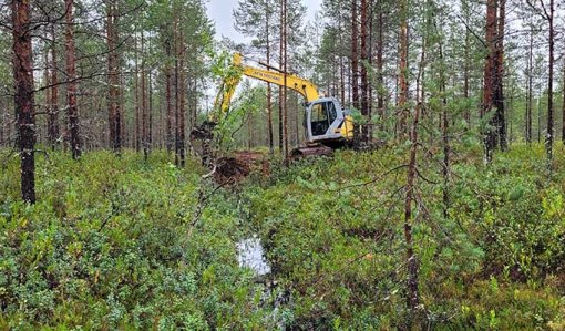 Kaivinkone tukkii ojaa suometsässä kesällä.