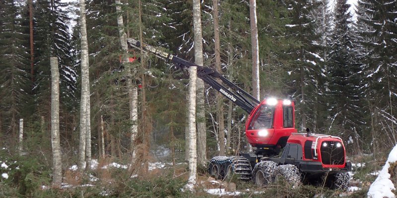 Metsäkone katkoo koivuista tekopökkelöitä. 