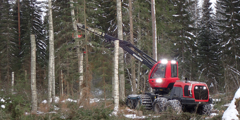 Metsäkone katkoo koivuista tekopökkelöitä.