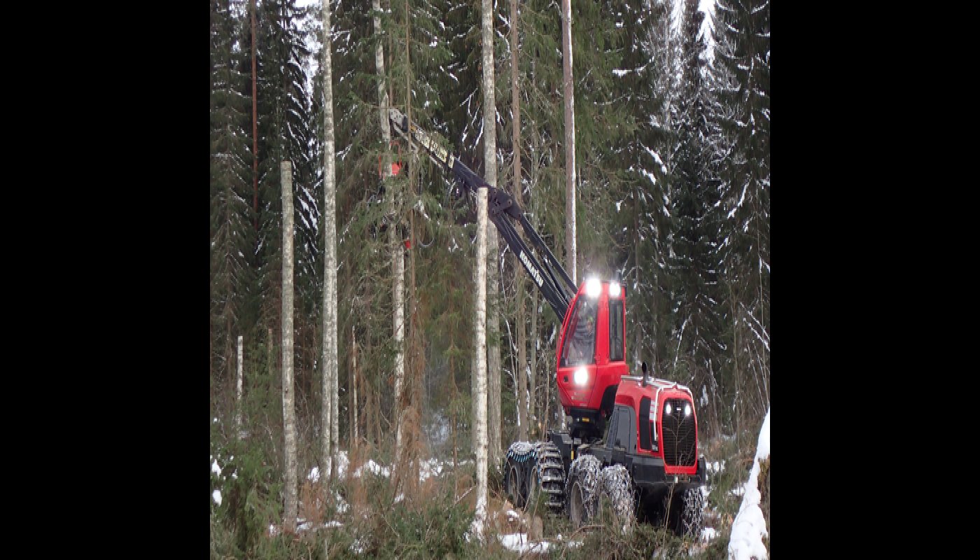 Metsäkone katkoo koivuista tekopökkelöitä. 