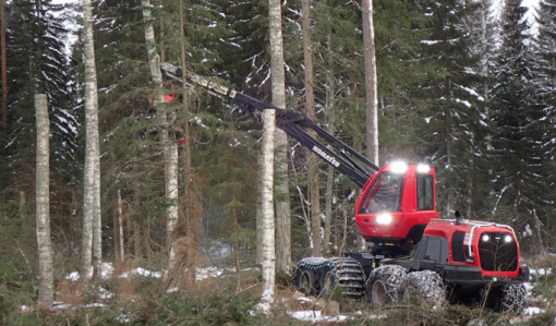 Metsäkone katkoo koivuista tekopökkelöitä.