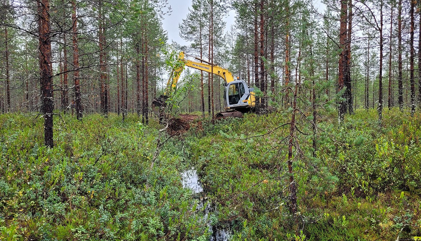 Kaivinkone tukkii ojaa suometsässä.