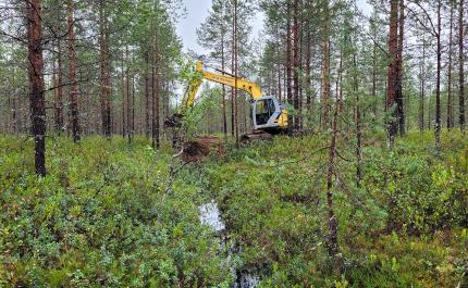 Kaivinkone tukkii ojaa suometsässä.