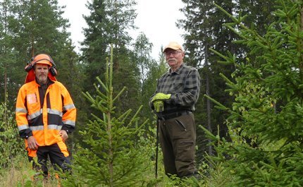 Metsuri Esa Lappi ja Urpo Tolonen seisovat vierekkäin hoidetussa taimikossa. 