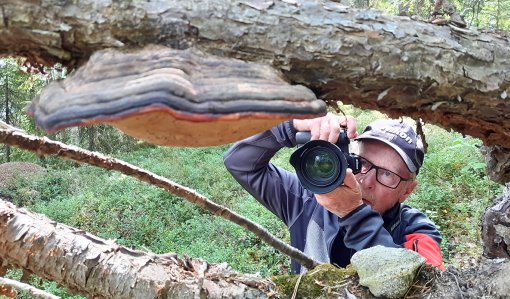 Timo-Heikki Varis kuvaa isoa kääpää metsässä. 