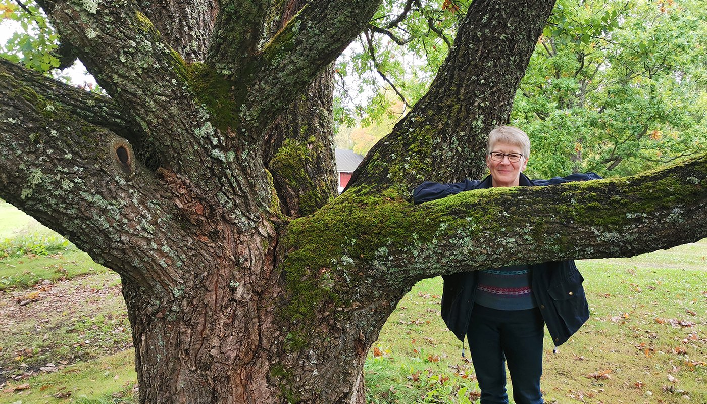 Hetta Torppo nojaa vanhan männyn paksuun oksaan kotitilansa pihalla.
